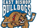 statusupdate 1 logo bulldogs