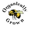 planting seeds