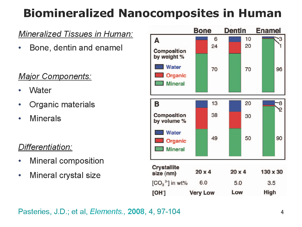 biomineralization page