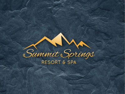 1 merryliddlewedding  summitsprings logo